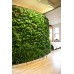 Air Purifier Green Wall (550 Rs -900 Rs) (Rates / Sqft) 